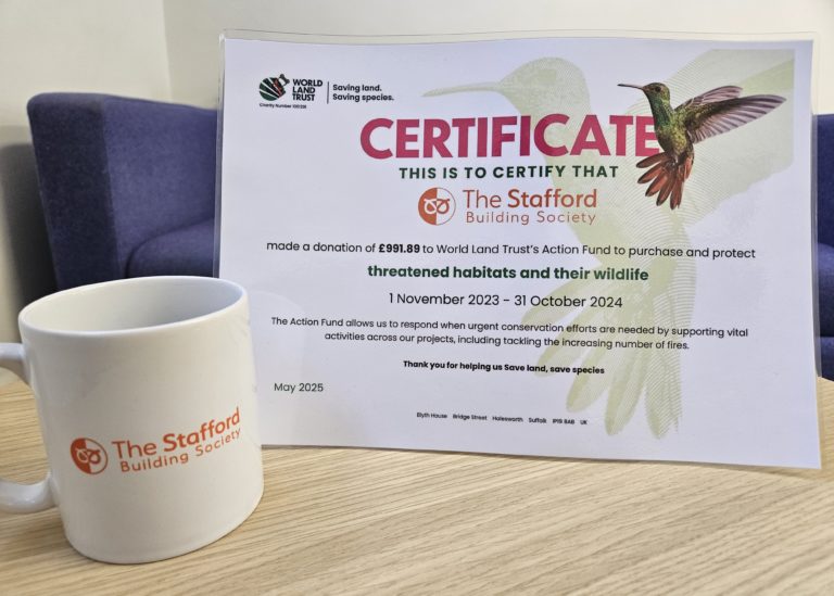 A certificate depicting a donation of £991.89 to our charity partner, World Land Trust from our affinity savings account.